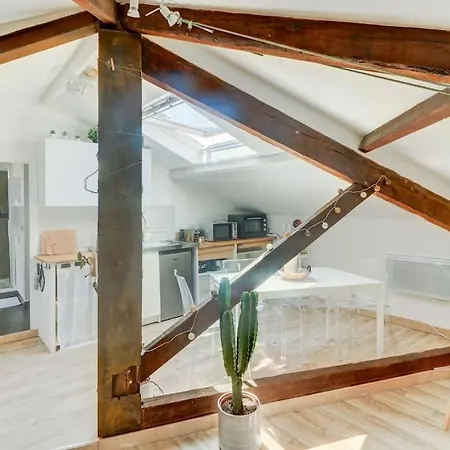 Joli Loft Mansarde Daire