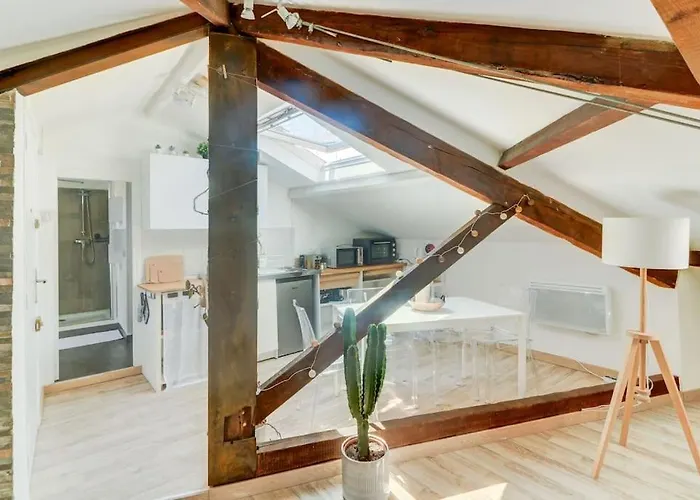 Joli Loft Mansarde Appartement