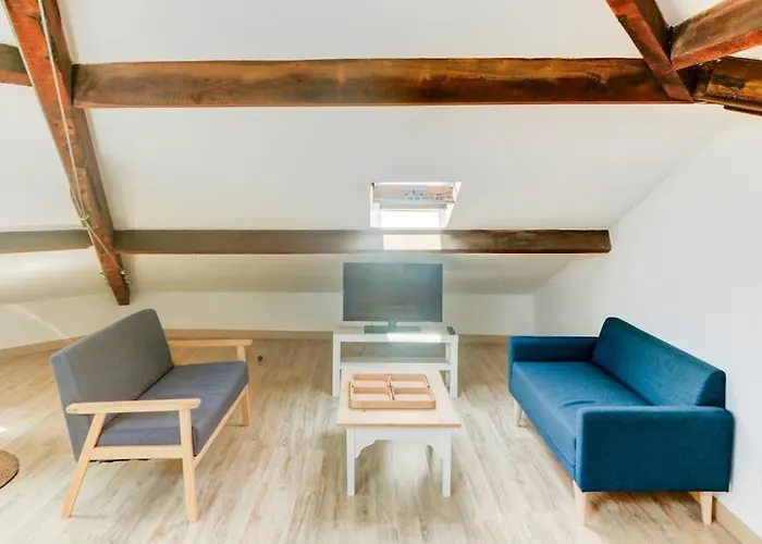 Joli Loft Mansarde *